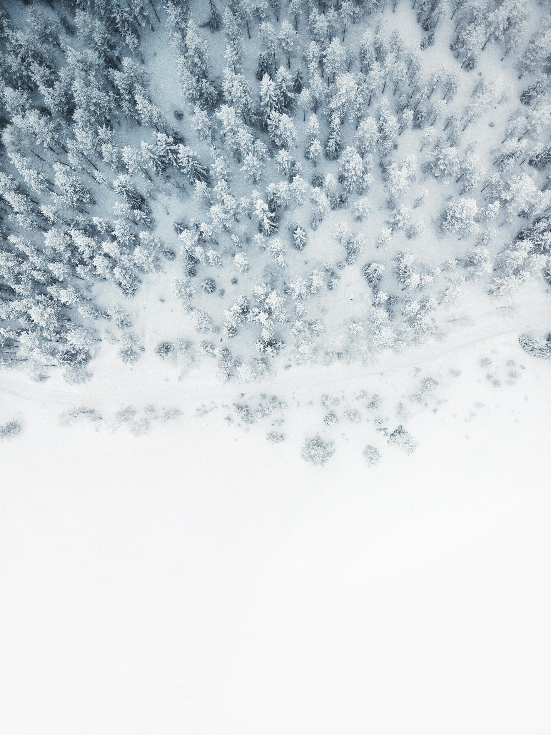Home background